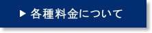 各種料金について