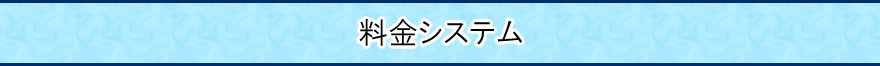 料金システム